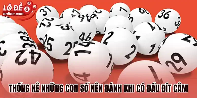 Đầu Câm Đít Câm - Bí Kíp Soi Cầu Được Sử Dụng Nhiều Nhất 2026 2 Thống kê những con số nên đánh khi có đầu đít câm