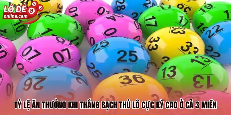 Tỷ lệ ăn thưởng khi thắng bạch thủ lô cực kỳ cao ở cả 3 miền