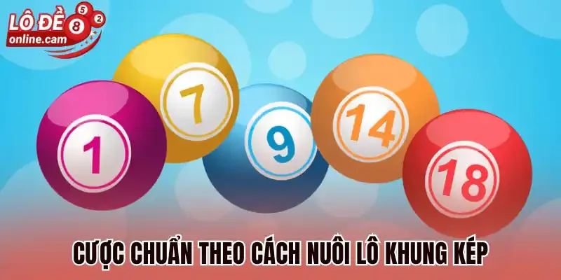 Nuôi Lô Khung Kép - 3 Cách Bắt Lô Kép Chuẩn Không Cần Chỉnh 1 Cược chuẩn theo cách nuôi lô khung kép