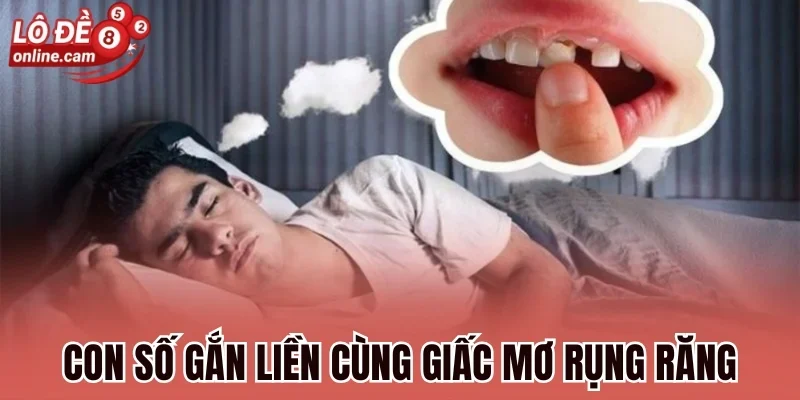 Con số gắn liền cùng giấc mơ rụng răng
