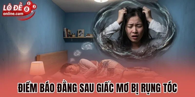 Mơ Bị Rụng Tóc Đánh Con Gì? Hé Lộ Điềm Hung Cát Cần Biết 1 Điềm báo đằng sau giấc mơ bị rụng tóc